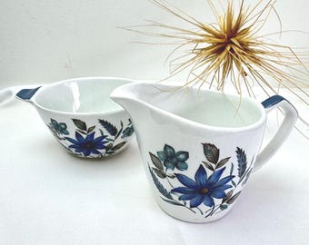 Blue Floral Creamer & Sugar Bowl Set Alfred Meakin Glo-White Ironstone