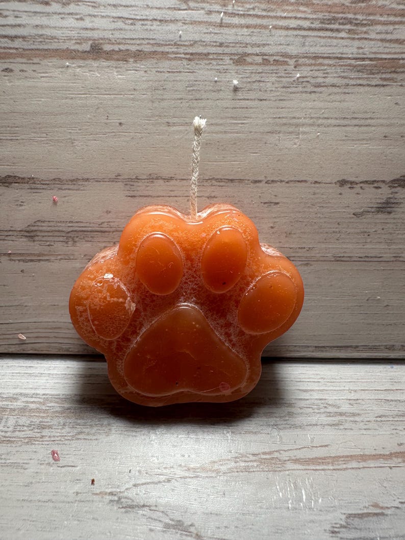 Cat Candle Blue Raspberry Fragrance Etsy