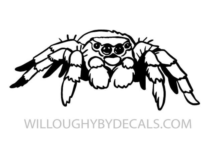 Jumping Spider Vinyl Decal Sticker