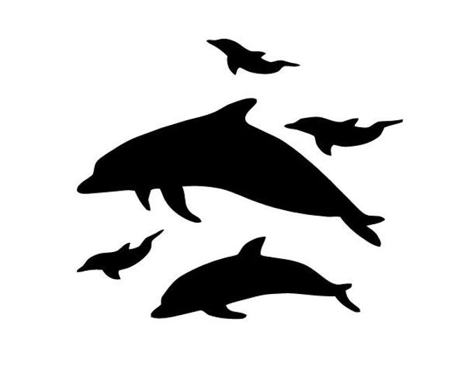 Dolphin Vinyl Decal