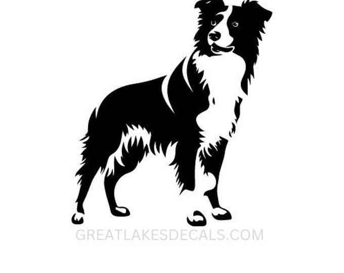 Border Colie Vinyl Decal Sticker