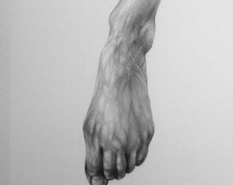 Foot Study #31 - Original Graphite Drawing (Not a print)