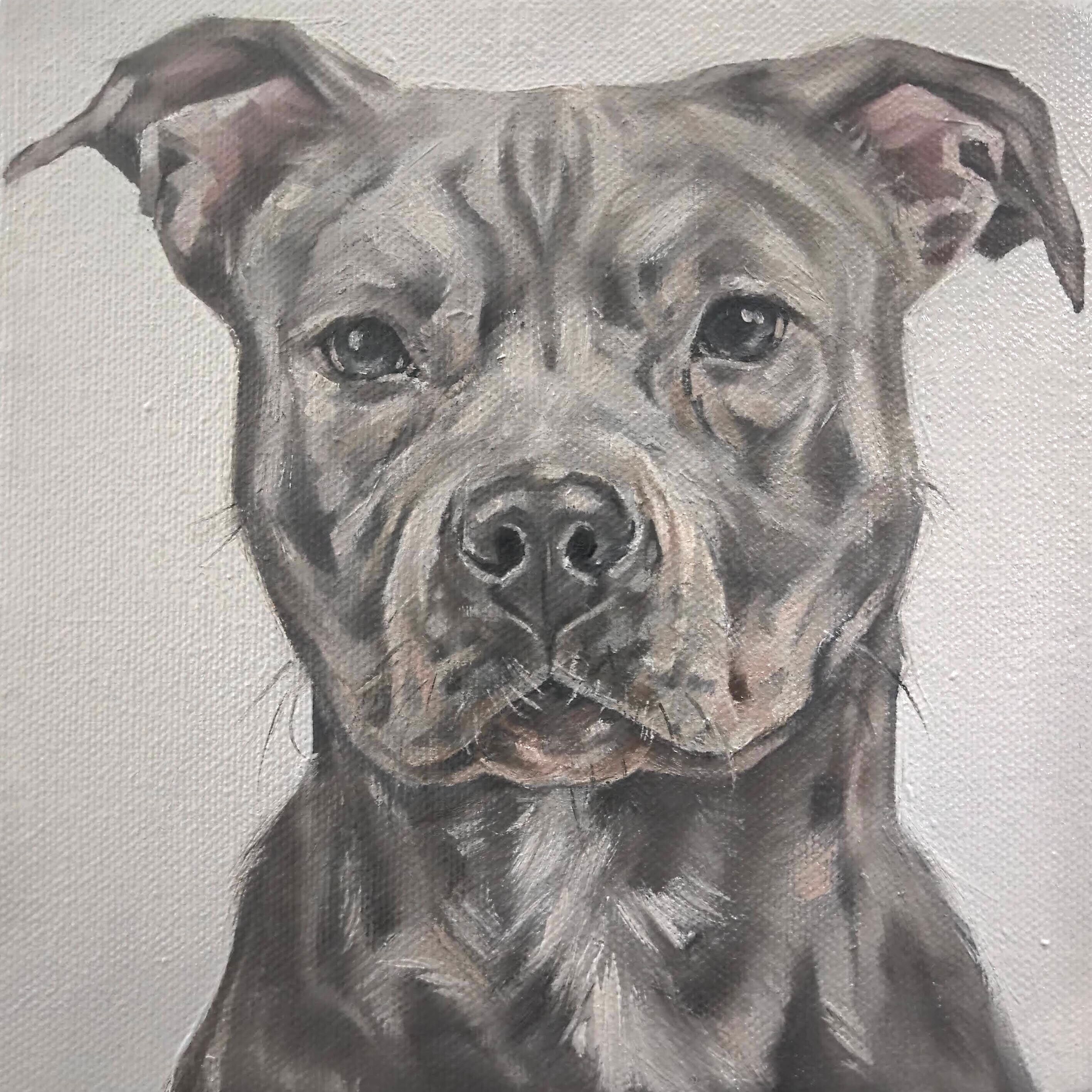 Blue Staffy 6x6 Original Oil Painting | Etsy