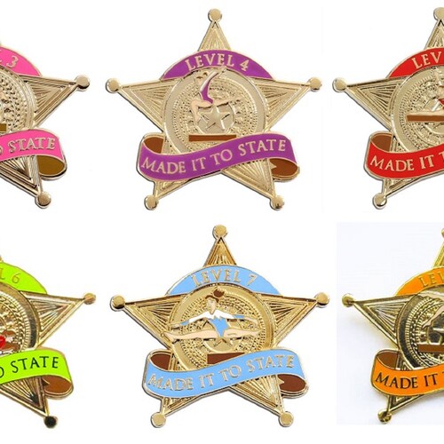 State Championships Gymnastics Pins Levels 2 10 Etsy