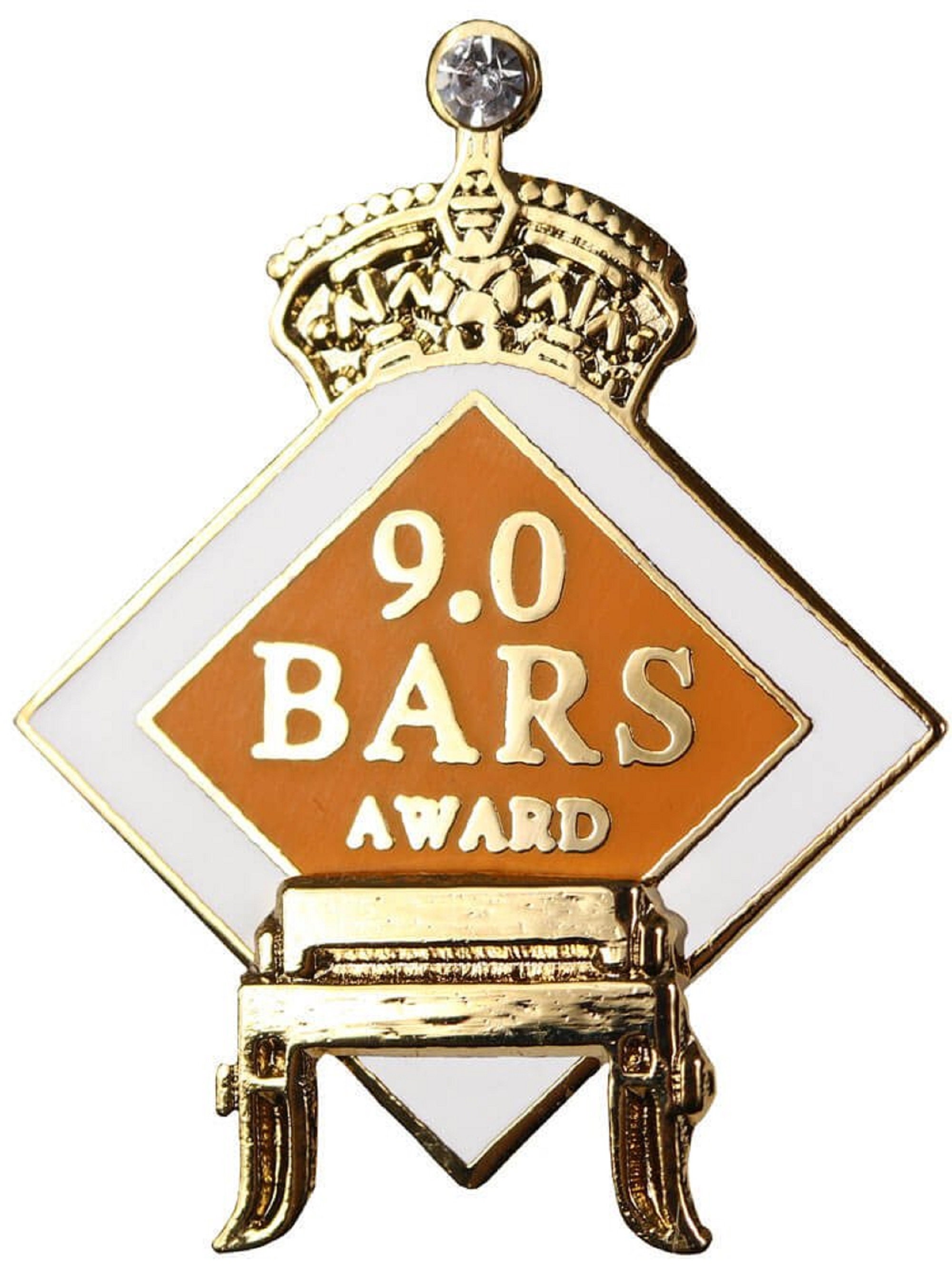 Women's Gymnastics Pin - Level 10 -1110