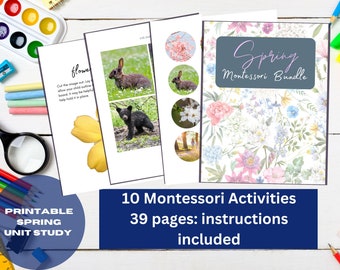 Homeschool Printable Spring Unit Study, Montessori Printable, Preschool Curriculum, Sensorial Work Montessori, Color Matching Printable