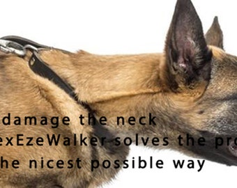 Pet Dog Head Collar figure of 8 design - The RexEzeWalker