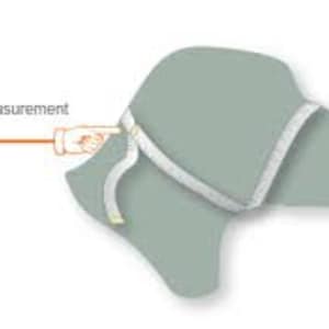 May include: A diagram showing how to measure a dog's head for a figure eight dog harness. The harness is shown in white with a yellow measuring tape. The text "Figure 8 Measurement Here" is shown in orange.