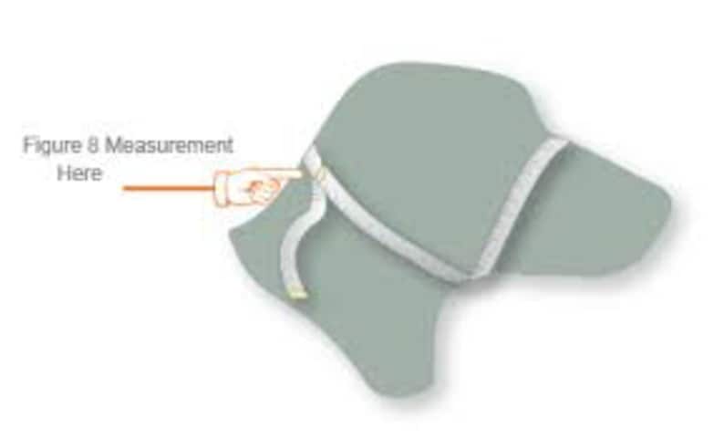 May include: A diagram showing how to measure a dog's head for a figure eight dog harness. The harness is shown in white with a yellow measuring tape. The text "Figure 8 Measurement Here" is shown in orange.