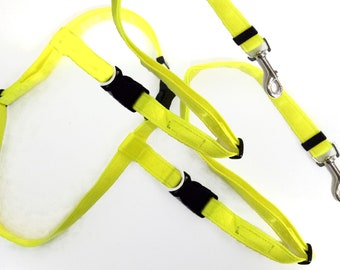Pet Dog, Belt with 2 Leads/Leashes Easy Snap connectors 25mm Belt 19mm Lead. For running or hands free.