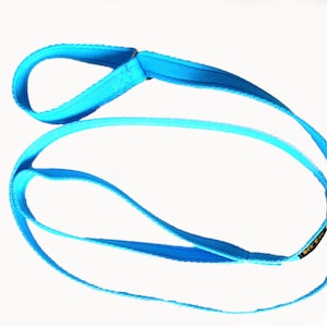 May include: A bright blue dog leash with a loop handle and a black label that says "Best Friend".