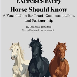 Gids voor grondwerkoefeningen voor paarden | Natural Horsemanship, bitloze training (pdf-download)