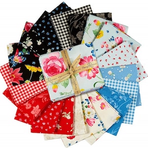 Afternoon Picnic by Nancy Zieman  productions for Penny Rose quilt cotton fabric fat quarter bundle  + yardage  OOP and Hard to find