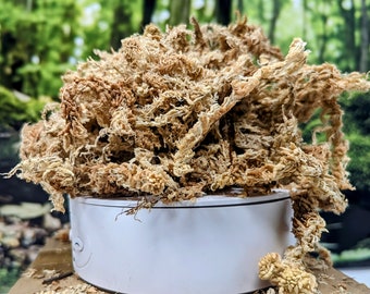 2 Gallonen Long Fiber Neuseeland Sphagnum Moos 10oz [280 Gramm]