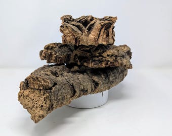 10 Pound FLATS Native Cork Bark - für Orchideen, Luftpflanzen, Reptilien und Terrarien