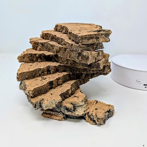 8oz "Brisket-Cut" Cork Slices - for Isopods, Orchids, Airplants, Reptiles, and Terrariums