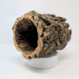 Virgin Cork Bark Rounds: Natural Terrarium & Reptile Habitat Decor - Etsy