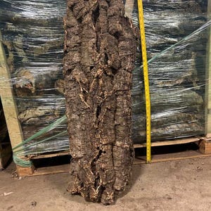 OVERSIZE Cork FLATS Cut to Length- Reptiles, Airplants, Orchids, and Terrariums