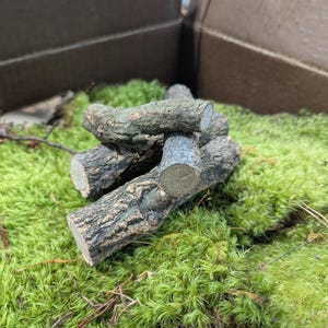 May include: A pile of small, brown, wooden logs arranged in a pyramid shape on a bed of green moss.