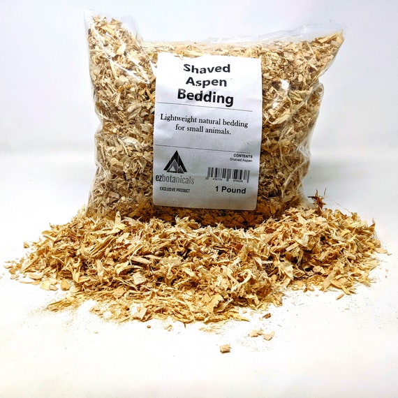 Aspen bedding clearance for bearded dragons