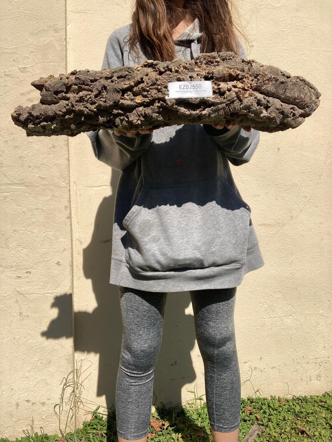 X LARGE LONG Cork round 2550 for Reptiles - Etsy