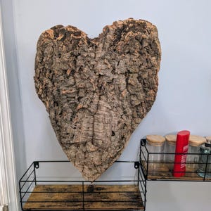 HUGE 20.5&quot; Natural Cork Bark Heart - Sustainable Home Decor + Mount for Orchids, Airplants, Reptiles, and Terrariums