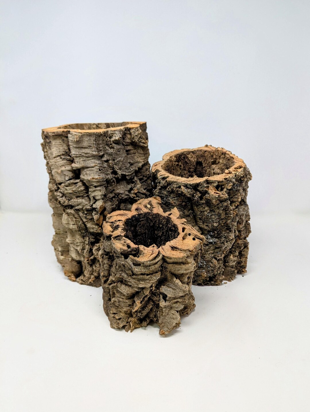 Bulk Virgin Cork Bark Rounds – Natural for Orchids, Airplants, Reptiles ...