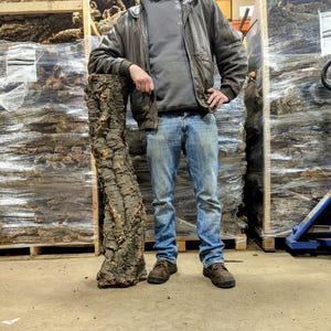 OVERSIZE Cork ROUNDS Cut to Length- Reptiles, Airplants, Orchids, and ...