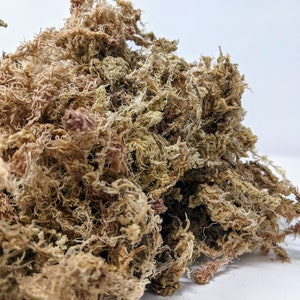 4 Gallon Long Fiber New Zealand Sphagnum Moss 20oz [460 Grams]