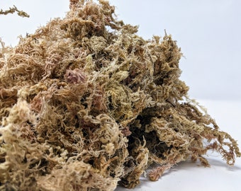 4 Gallon Long Fiber New Zealand Sphagnum Moss 20oz [460 Grams]