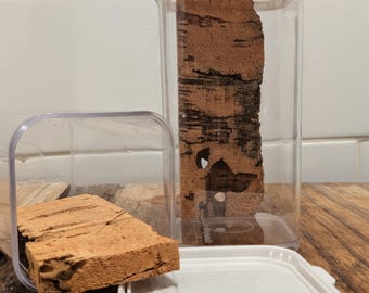 Arnés Arboreal Spider de 8.8 oz con panel de corcho - Carcasa abatible ventilada