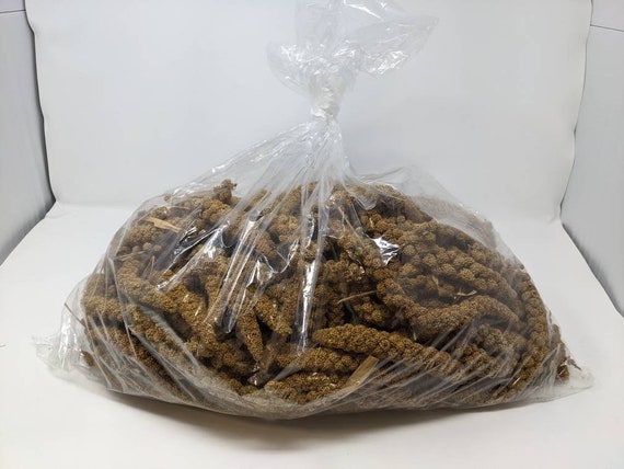 Golden spray millet online