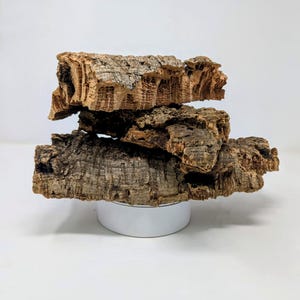 BULK CORK Bark FLATS for Orchids, Air Plants, Reptiles, & Terrariums – Natural, Eco-Friendly, Bioactive, for Crested Geckos, Frogs + Crafts