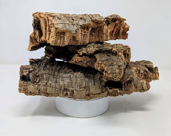 BULK CORK Bark FLATS for Orchids, Air Plants, Reptiles, & Terrariums – Natural, Eco-Friendly, Bioactive, for Crested Geckos, Frogs + Crafts