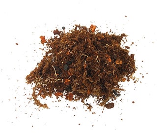 EZB サトイモ + バイオアクティブジャングルミックス - テラリウム、観葉植物、ブロメリア科植物、バイオアクティブタンク用