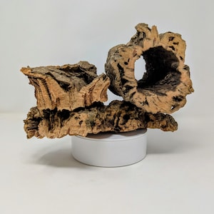 10 Pound ASSORTED Box of Virgin Cork Bark - for Orchids, Airplants, Reptiles, and Terrariums
