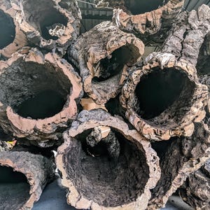 CORK BARK ROUNDS 3 Pound Box - Pick Your Size -  for Orchids, Air Plants, Reptiles, Terrariums