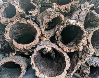 Cork Bark Rounds 3lb Box: Natural Terrarium & Orchid Decor