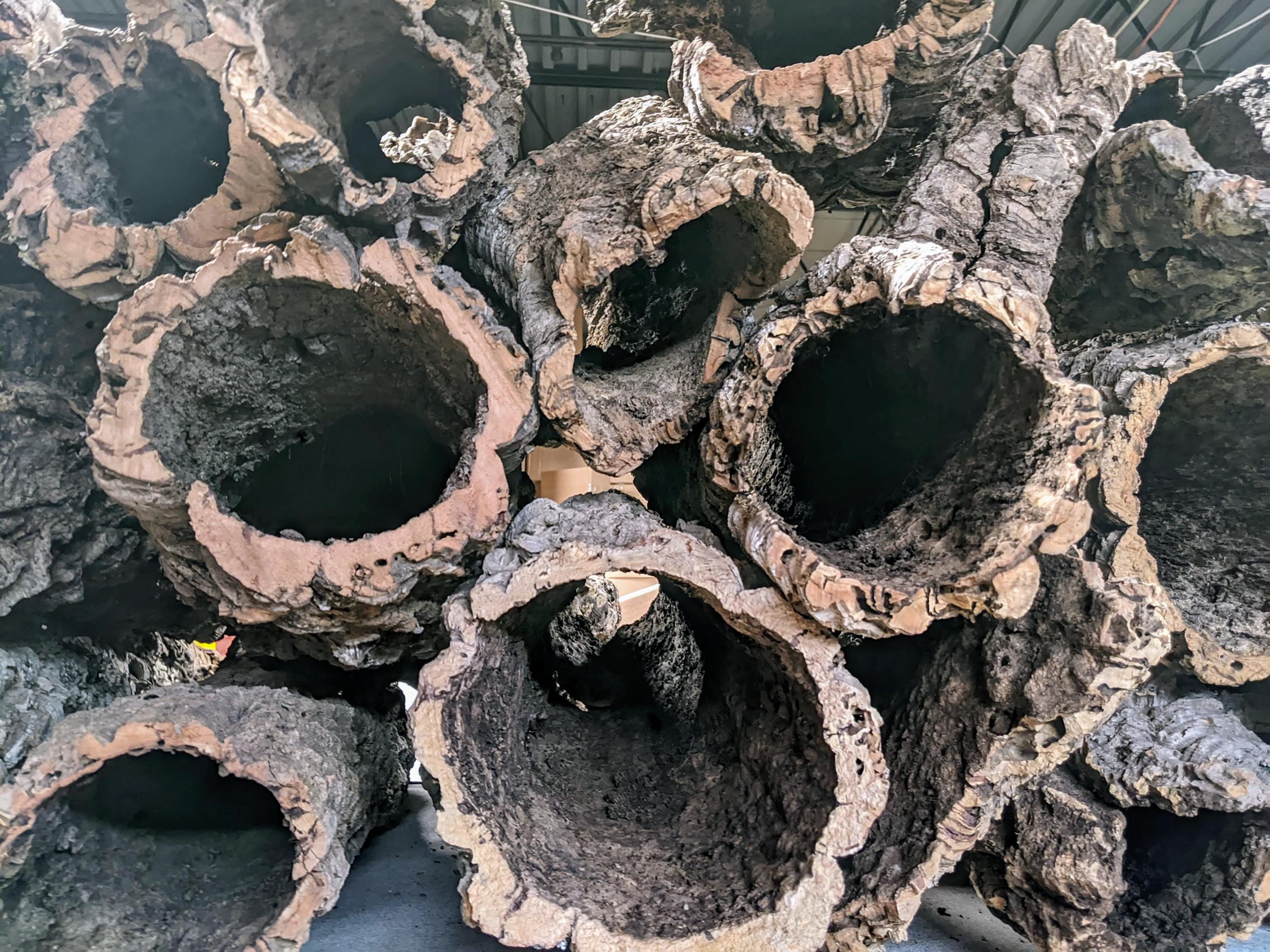 Cork Bark Rounds 3lb Box: Natural Terrarium & Orchid Decor - Etsy