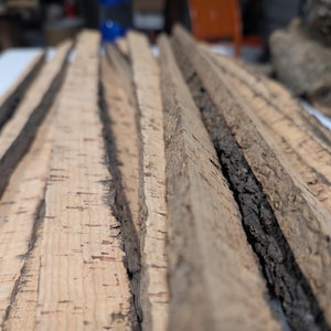 Bandes d'écorce de liège vierge : décoration naturelle pour terrariums, orchidées et reptiles