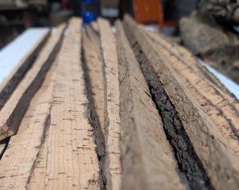 Virgin Cork Bark Strips: Natural Terrarium, Orchid & Reptile Decor