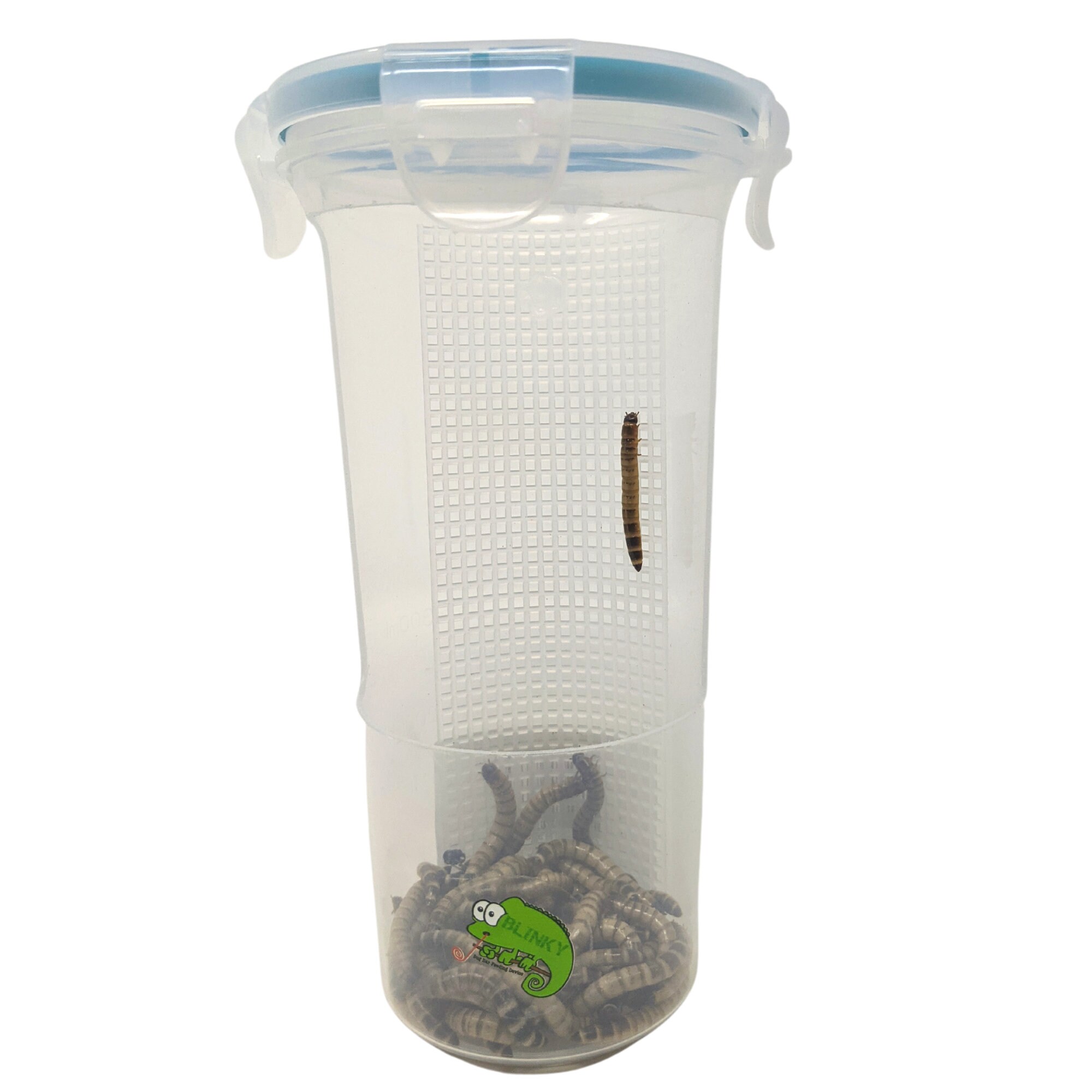 chameleon feeder cup