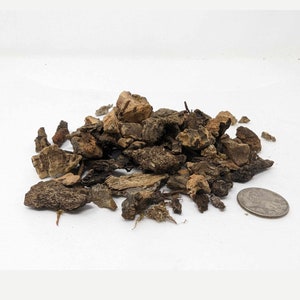 Fine Virgin Cork Bits 8oz - for Orchids, Airplants, Reptiles, Tarantula, and Terrariums