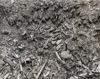 Sustrato de biocarbón para terrarios: Carbón vegetal para el crecimiento saludable de las plantas
