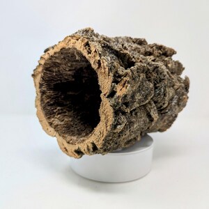 Cork Bark Rounds 3lb Box: Natural Terrarium & Orchid Decor - Etsy
