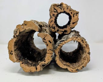 Korkrinden-Rondelle 5lb: Orchidee, Pflanze, Reptil Terrarium versteckt