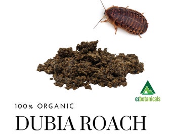 15 Grams Tegu Food Organic Granulated Dubia Roaches for Reptiles, Chickens. and Birds