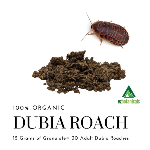 15 Grams Tegu Food Organic Granulated Dubia Roaches for Reptiles, Chickens. and Birds