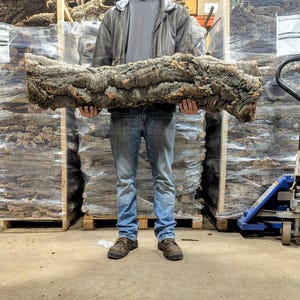 OVERSIZE Cork ROUNDS Cut to Length- Reptiles, Airplants, Orchids, and Terrariums