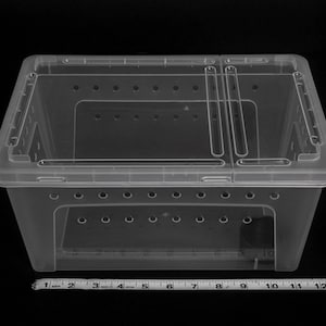 5 PACK  Large Clear Stackable Invertebrate & Reptile Keeper Box